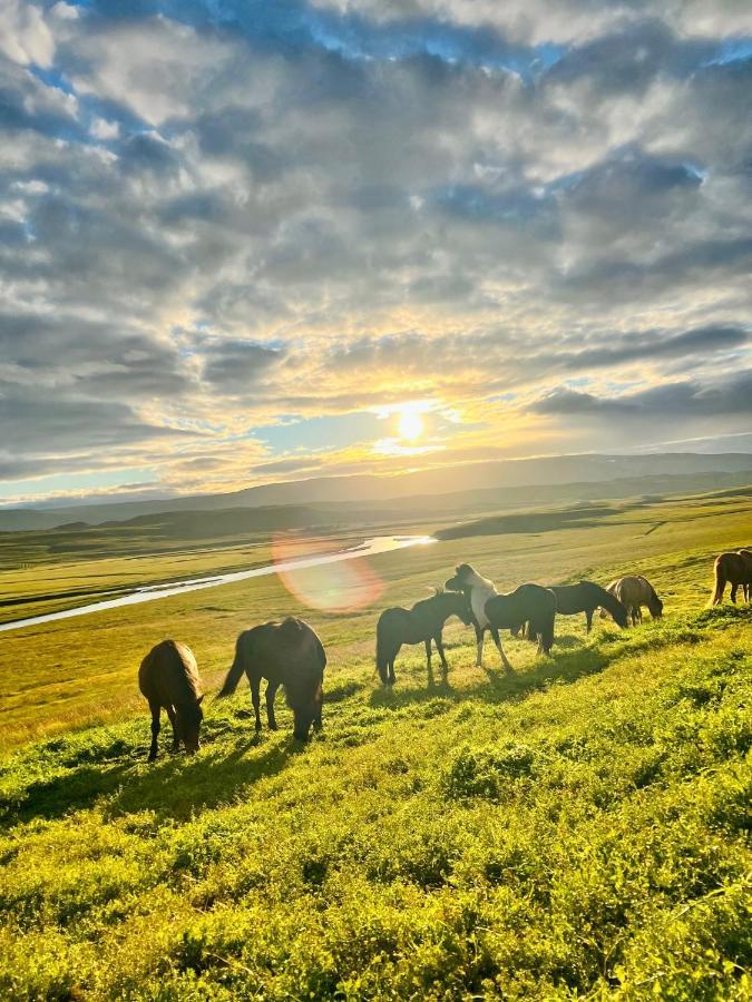 Stora-Asgeirsa Horse Farm Stay Vithigerthi Zewnętrze zdjęcie