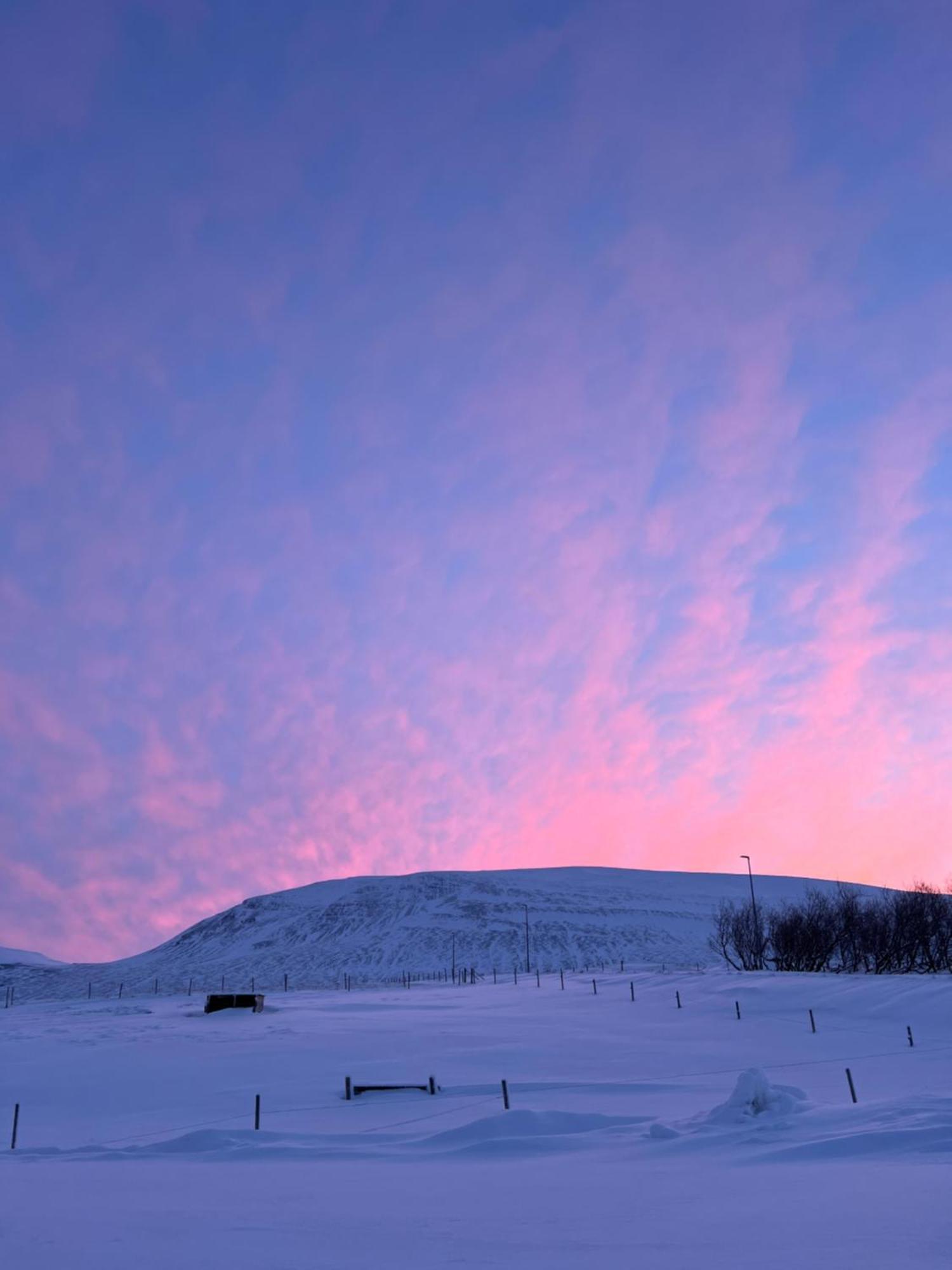 Stora-Asgeirsa Horse Farm Stay Vithigerthi Zewnętrze zdjęcie