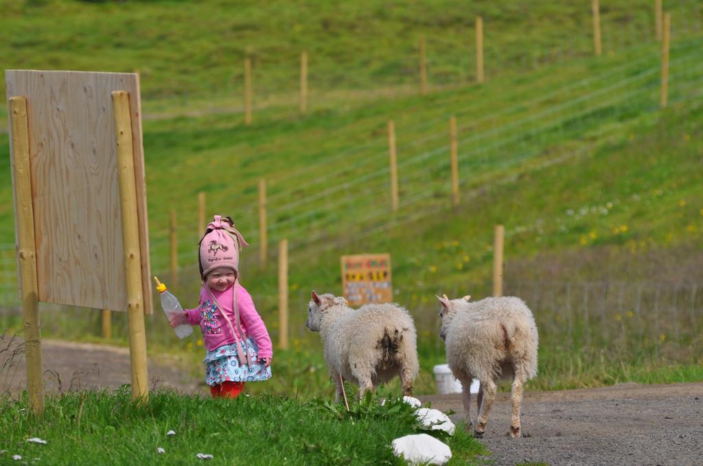 Stora-Asgeirsa Horse Farm Stay Vithigerthi Zewnętrze zdjęcie